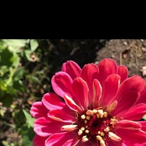 Meet your Posher, Charlie